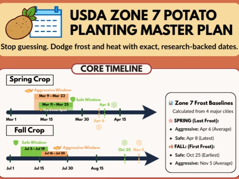 Timeline chart for USDA Zone 7 potato planting dates, showing exact Spring windows (Mar 9-23, Mar 11-25) and Fall windows (Jul 5-19, Jul 16-30) based on local frost baselines.